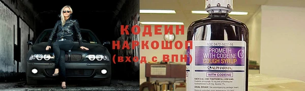 a pvp Гусь-Хрустальный