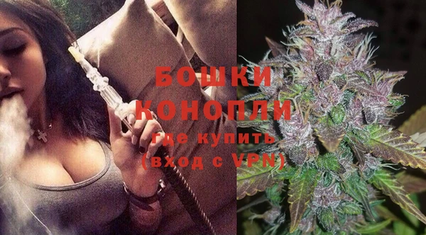 2c-b Гусев