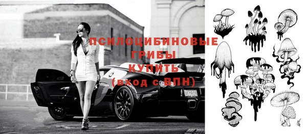 2c-b Гусев