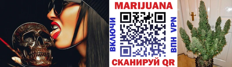 купить закладку  Ачхой-Мартан  кракен маркетплейс  Бошки Шишки White Widow 